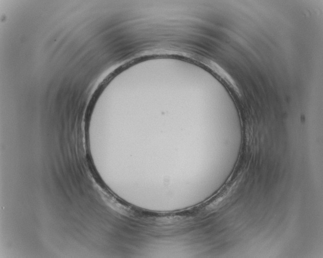 X0000074290988200609151912