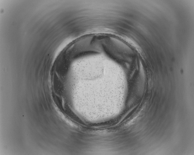 X0000074290990200609151912