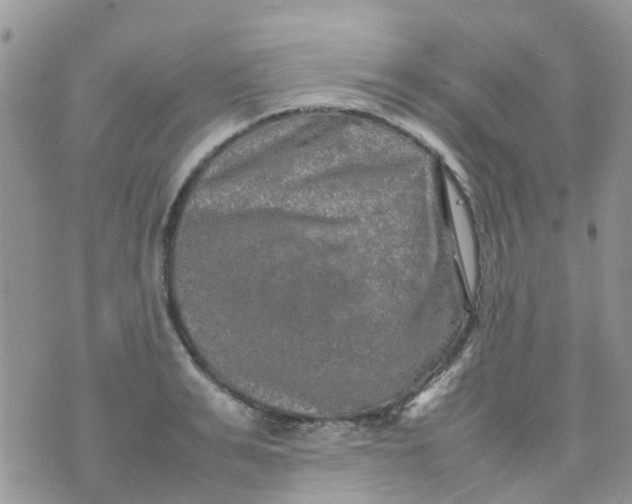 X0000074290991200609151912