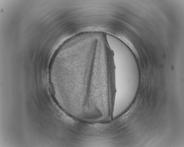 X0000074290992200609151912