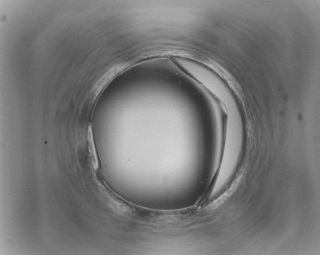 X0000074290993200609151912