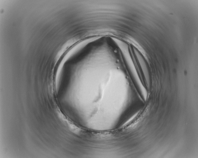 X0000074290994200609151912