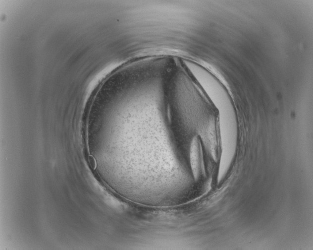 X0000074290995200609151912