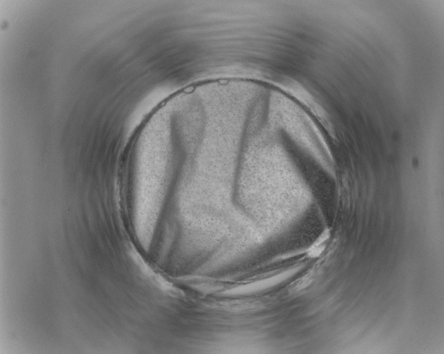 X0000074290998200609151912