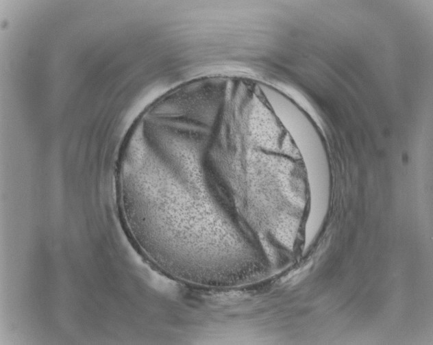 X0000074290999200609151912