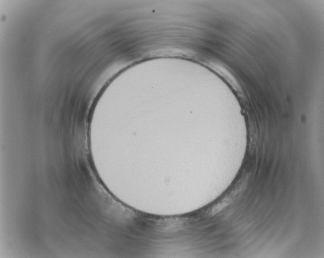 X0000074291000200609151912