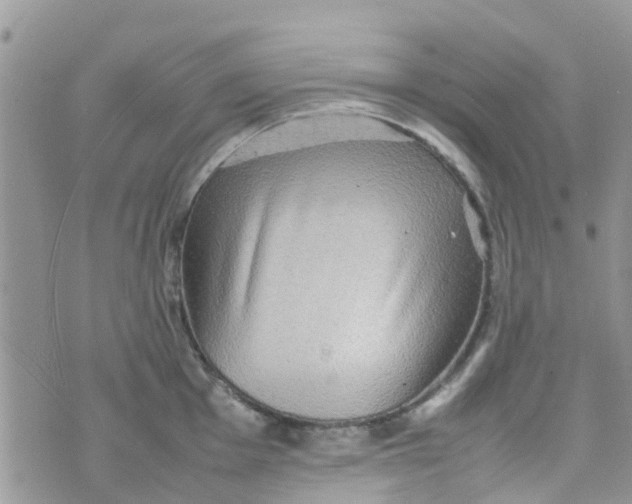 X0000074291001200609151912