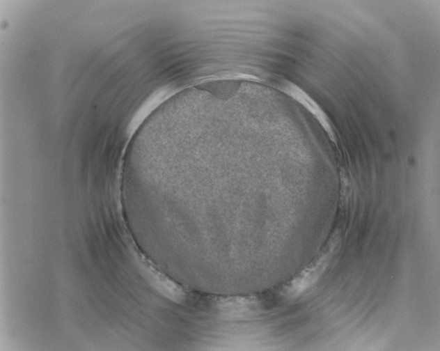 X0000074291002200609151912