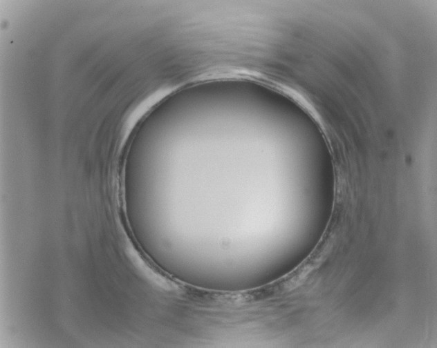 X0000074291003200609151912