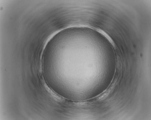 X0000074291004200609151912