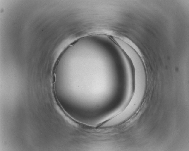 X0000074291005200609151912