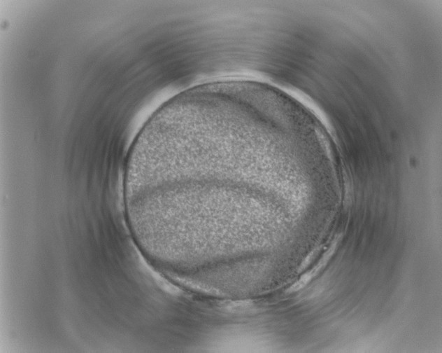 X0000074291006200609151912