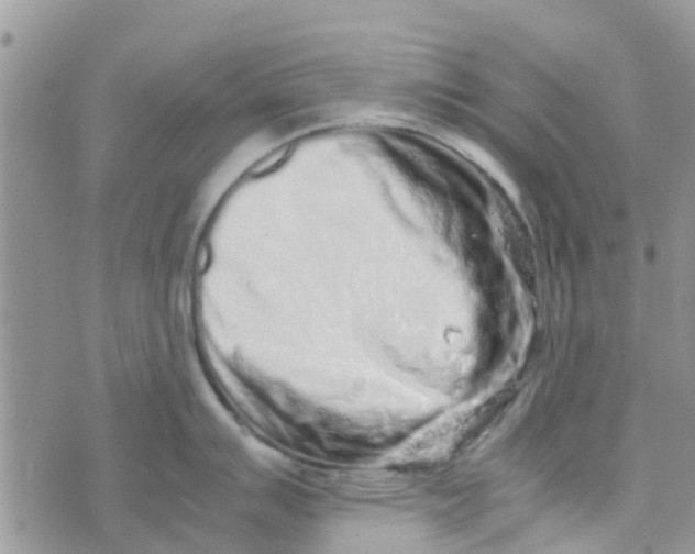 X0000074291007200609151912