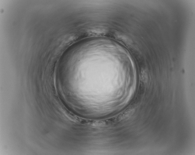 X0000074291009200609151911