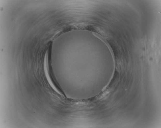 X0000074291010200609151911