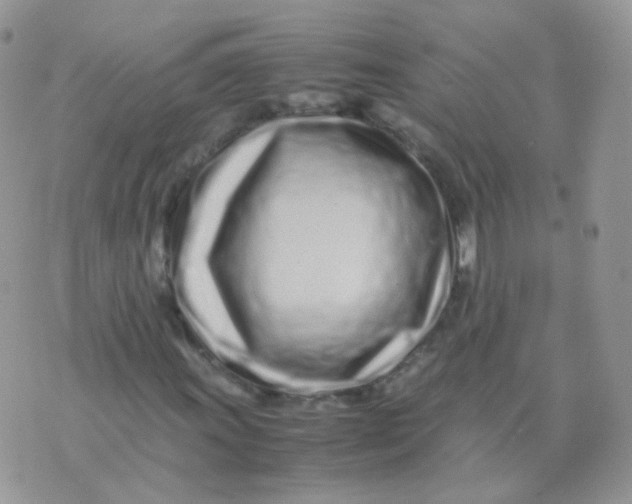 X0000074291011200609151911