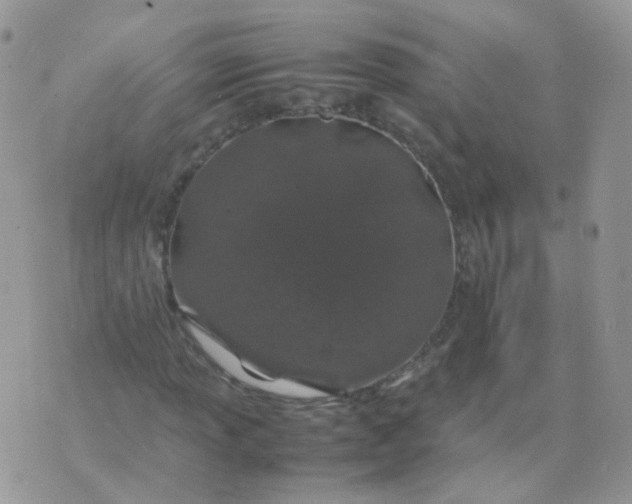 X0000074291013200609151911