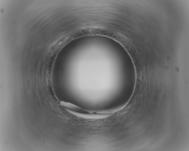 X0000074291014200609151911