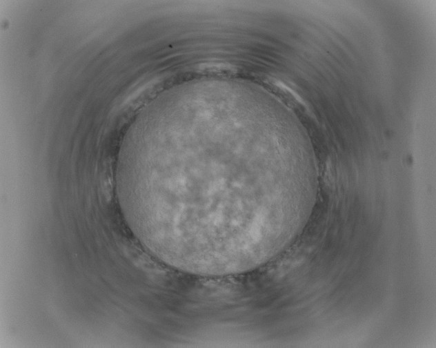 X0000074291015200609151911