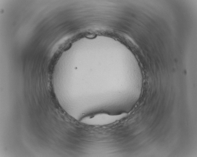 X0000074291016200609151911