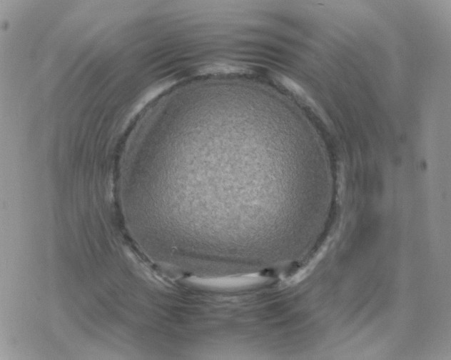 X0000074291017200609151911