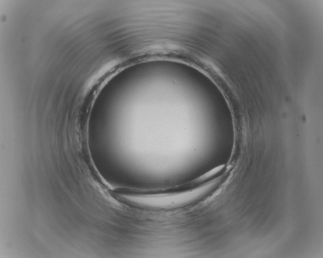 X0000074291018200609151911