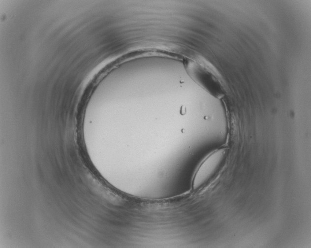 X0000074291020200609151911