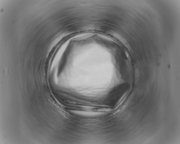 X0000074291023200609151911