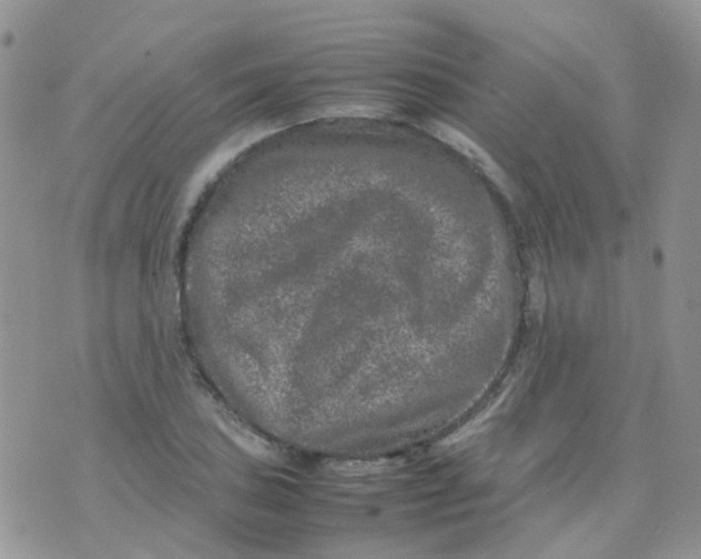 X0000074291027200609151911