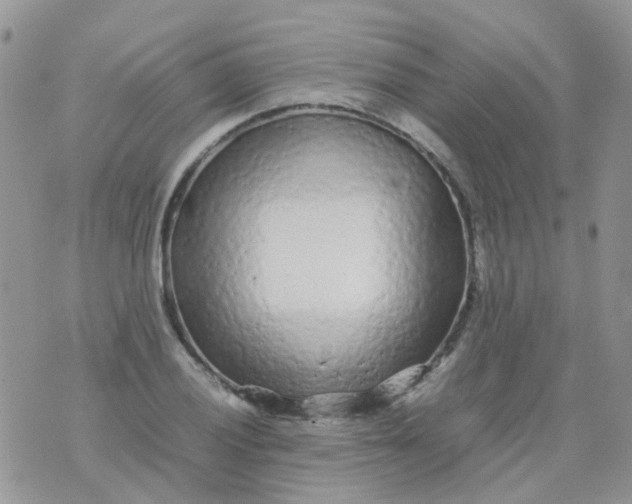 X0000074291028200609151911