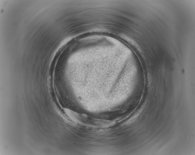 X0000074291029200609151911