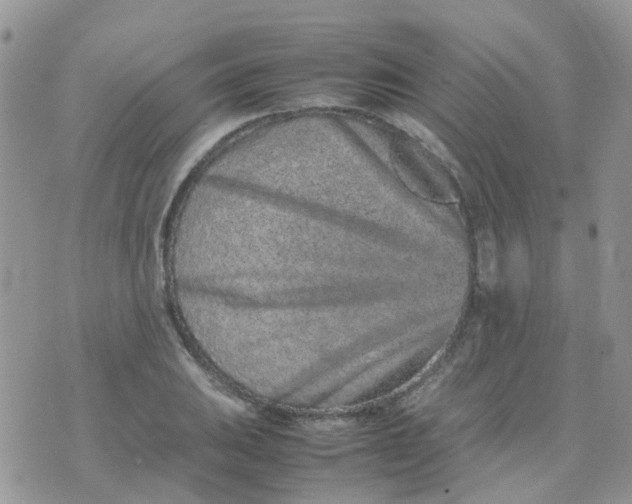 X0000074291031200609151911