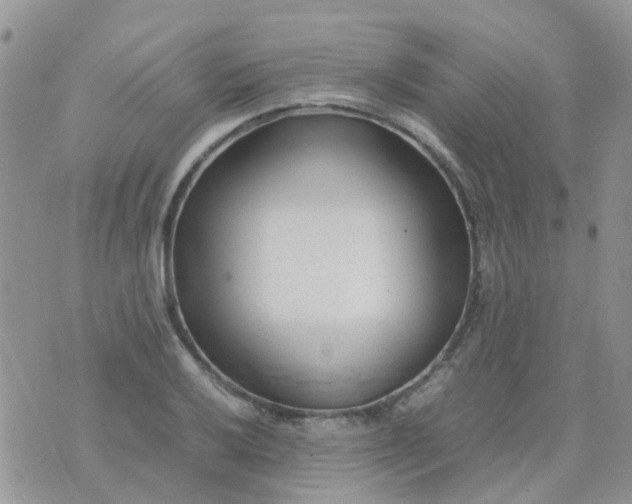 X0000074291032200609151912