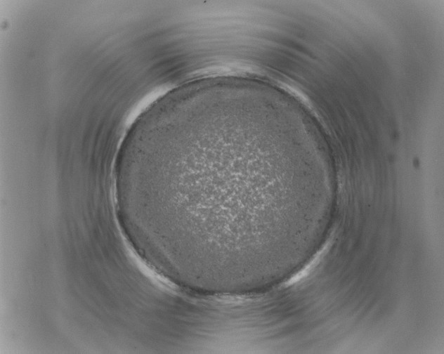 X0000074291034200609151912