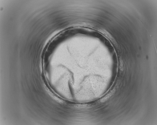 X0000074291036200609151912