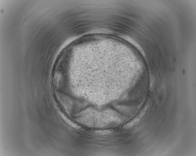 X0000074291037200609151912