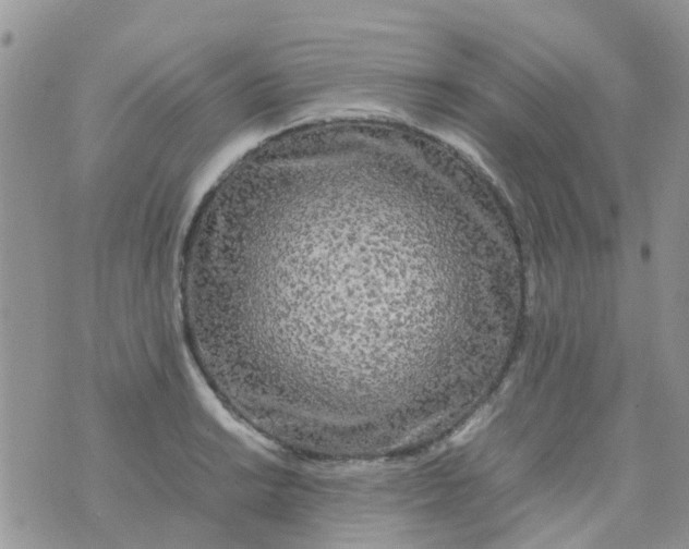 X0000074291038200609151912