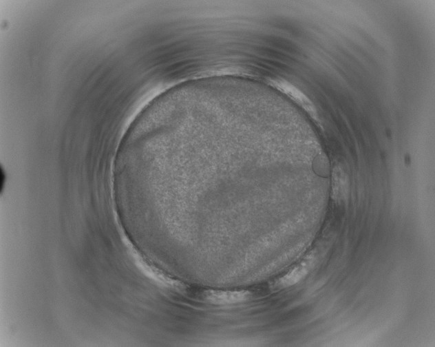 X0000074291039200609151912