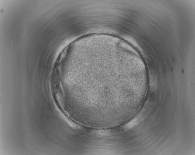 X0000074291040200609151912