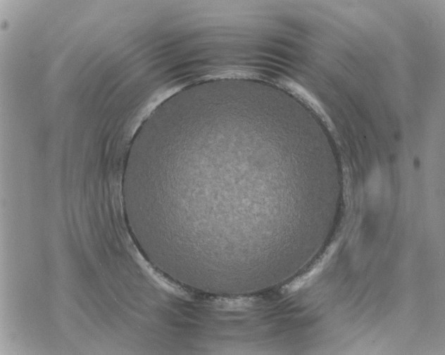 X0000074291041200609151912