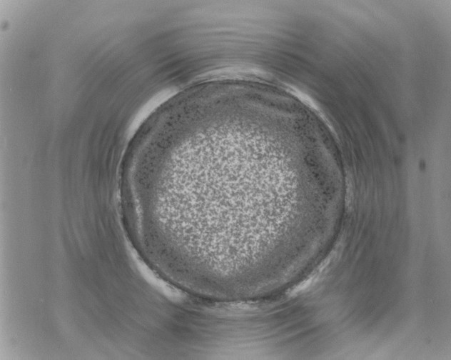 X0000074291042200609151912