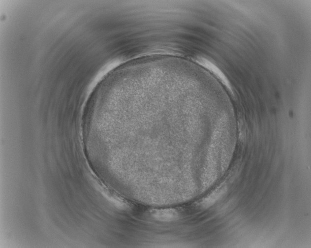 X0000074291043200609151912