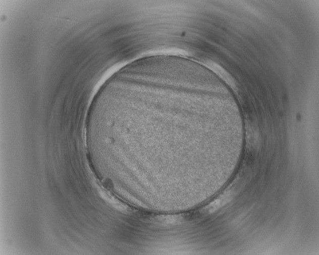 X0000074291044200609151912