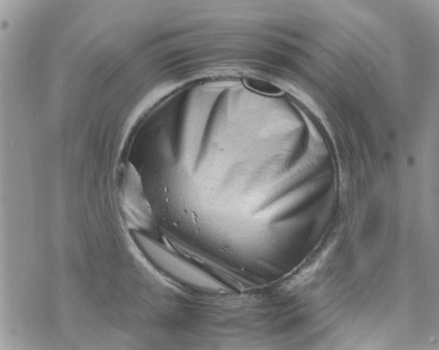 X0000074291045200609151912