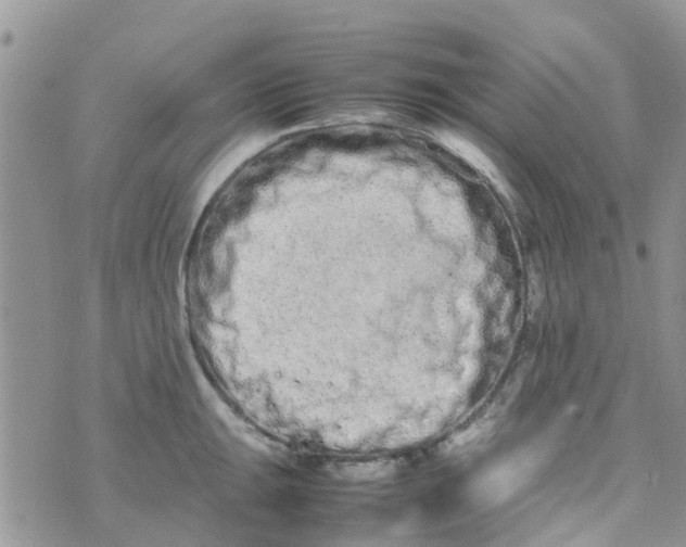 X0000074291047200609151912