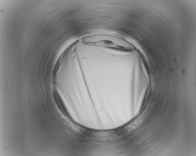 X0000074291048200609151912