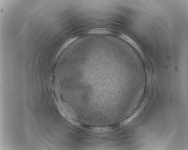 X0000074291049200609151912