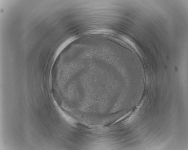 X0000074291050200609151912