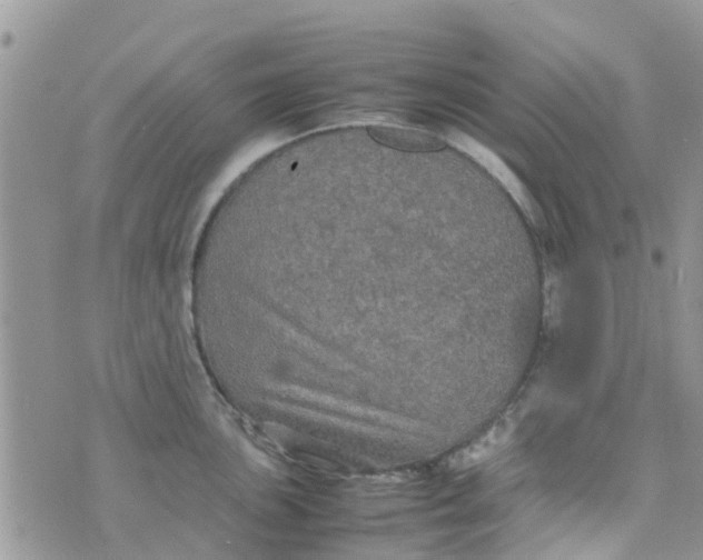 X0000074291051200609151912