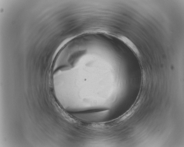 X0000074291052200609151912